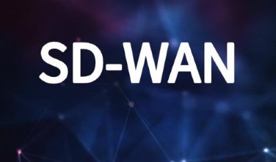 纯软型SD-WAN