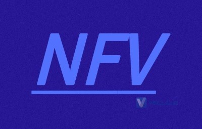 网络功能虚拟化（NFV）的作用