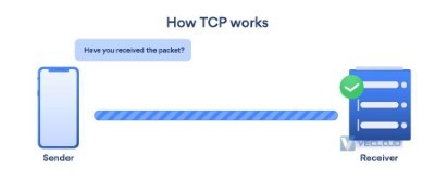 什么是TCP和UDP？