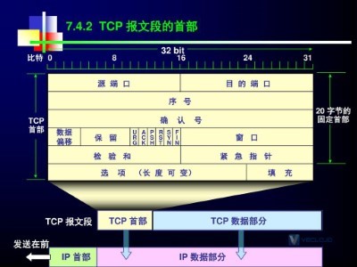 TCP首部和TCP的特性