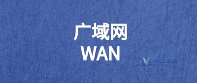 什么是广域网（WAN）？