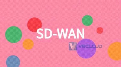 企业组网，MPLS，SD-WAN，专线