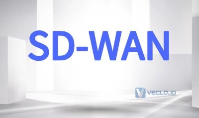 组织WAN逐渐被SD-WAN“淹没”