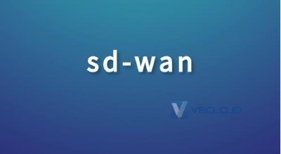 SD-WAN的服务特点