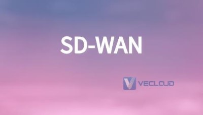 国际网络专线，MPLS-，SD-WAN，广域网
