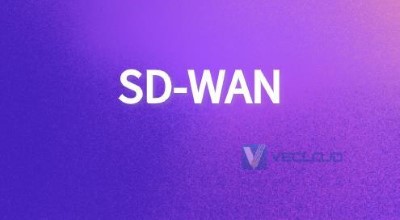 运营商SD-WAN技术组网优势