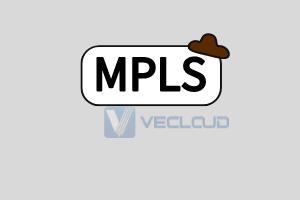 mpls vpn增值服务：mpls vpn是网络增值服务吗?