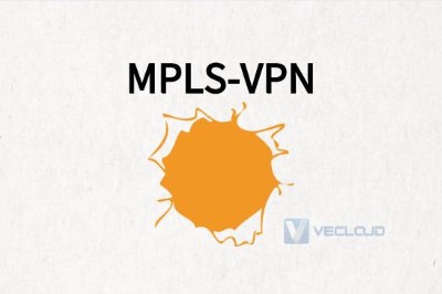 MPLS-VPN支持国际网络访问吗?