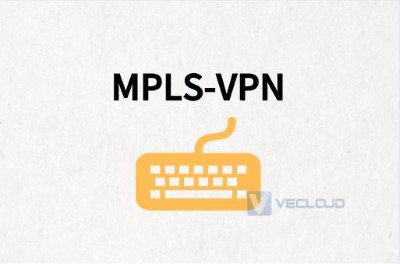 传统MPLS-VPN技术组网方式