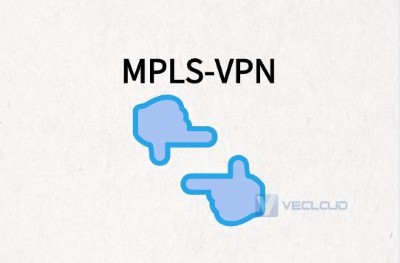 基于MPLS的VPN组网方案
