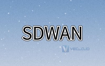 sdwan解决的痛点