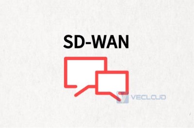 SD-WAN部署连接选择