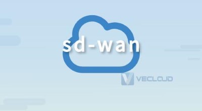SD-WAN企业组网实际应用