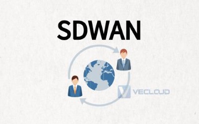 互联网纯sdwan的缺点
