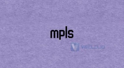 网络优化管理技术：MPLS-TE