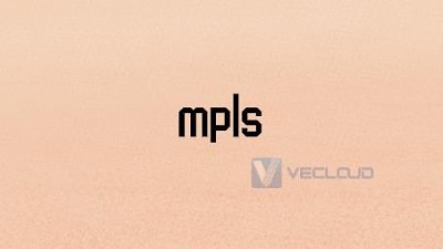 mpls-vpn业务的组网方式