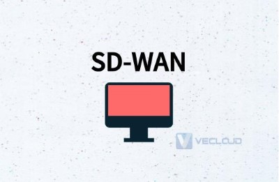 SD-WAN边缘路由器