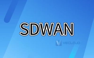 sdwan连锁企业方案