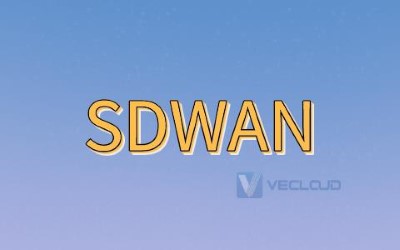 SD-WAN解决企业网络瓶颈