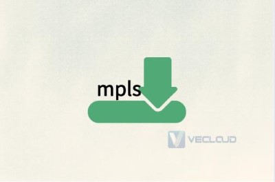 MPLS路由器角色/位置