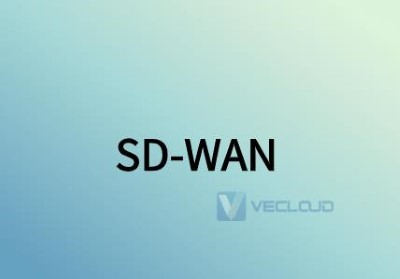 SD-WAN早期架构