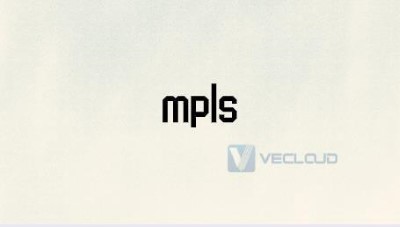 MPLS-TE差分模式的设备及系统配置