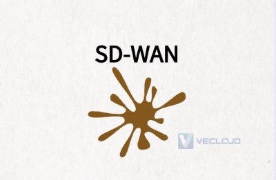提供QoS的SD-WAN技术