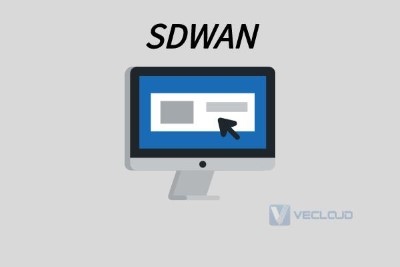 sdwan 技术学习