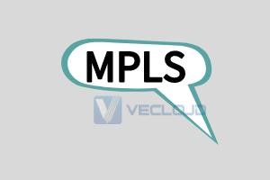 mpls组网：mpls网络体系