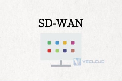 SD-WAN的简要背景