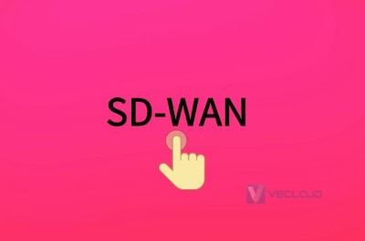 使SD-WAN脱颖而出的功能