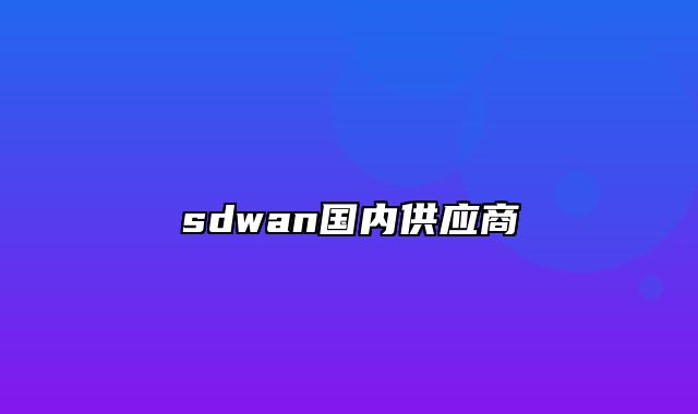 sdwan国内供应商