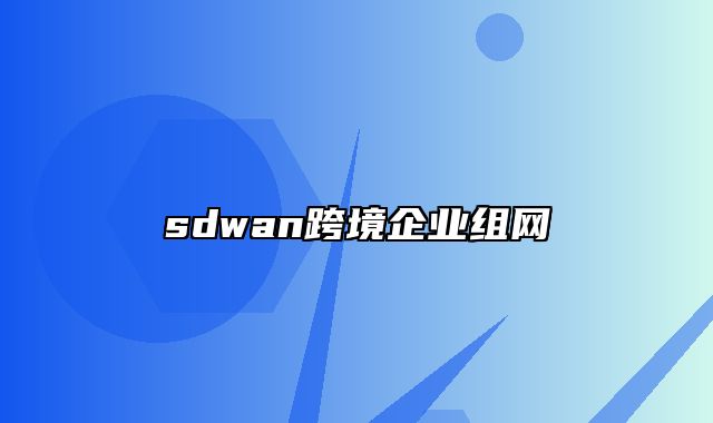 sdwan跨境企业组网
