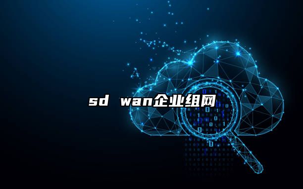 sd wan企业组网