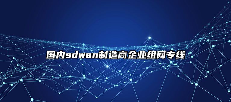 国内sdwan制造商企业组网专线