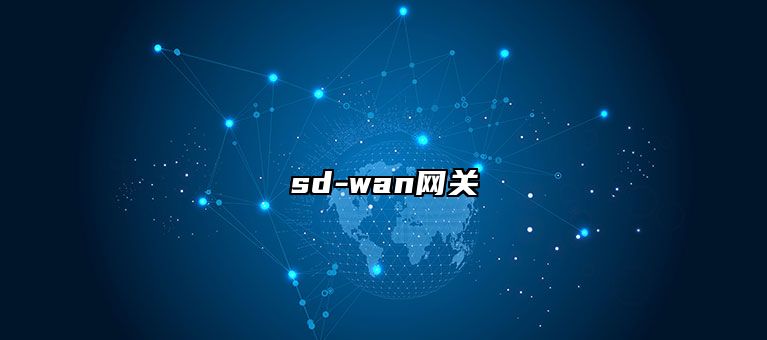 sd-wan网关