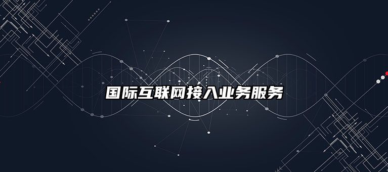 国际互联网接入业务服务