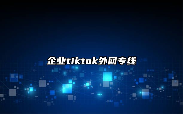 企业tiktok外网专线