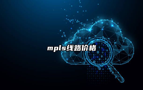 mpls线路价格