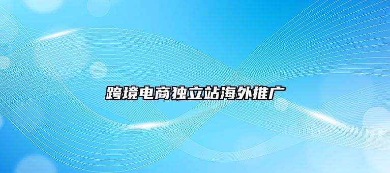 跨境电商独立站海外推广