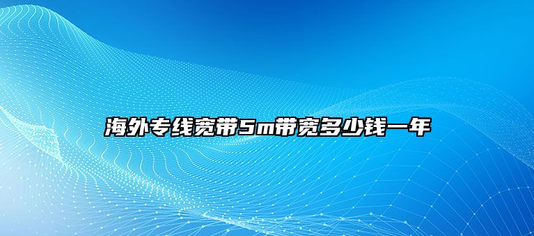 海外专线宽带5m带宽多少钱一年