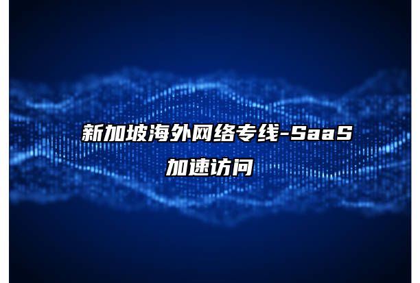  新加坡海外网络专线-SaaS加速访问