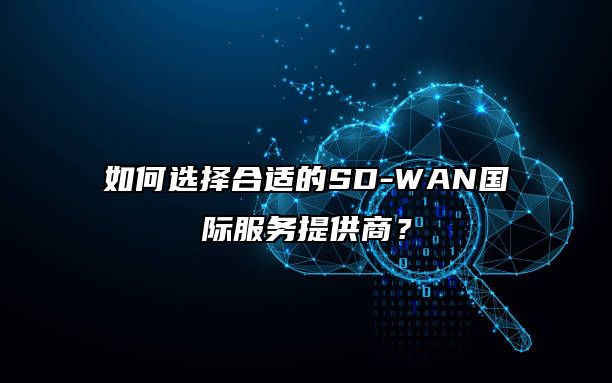 如何选择合适的SD-WAN国际服务提供商？