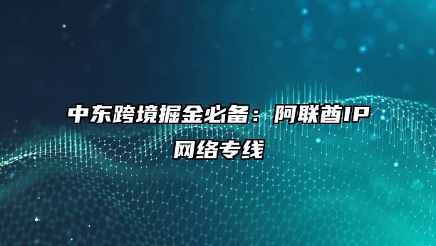 中东跨境掘金必备：阿联酋IP网络专线