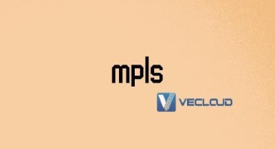 MPLS 组网和 ipsec ：mpls和ipsec对比