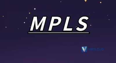 MPLS组网服务：MPLS组网结构