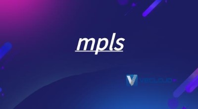 mpls中私网标签分配