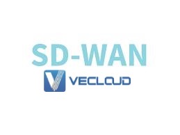 SD-WAN架构如何提高网络灵活性和效率？