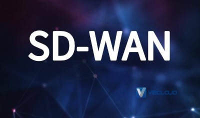 软件定义广域网定义：SD-WAN架构