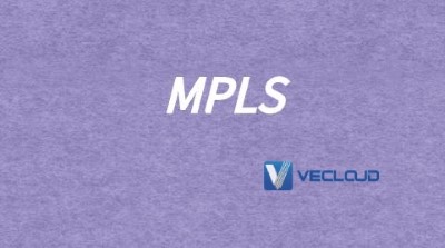 MPLS的网络体系结构